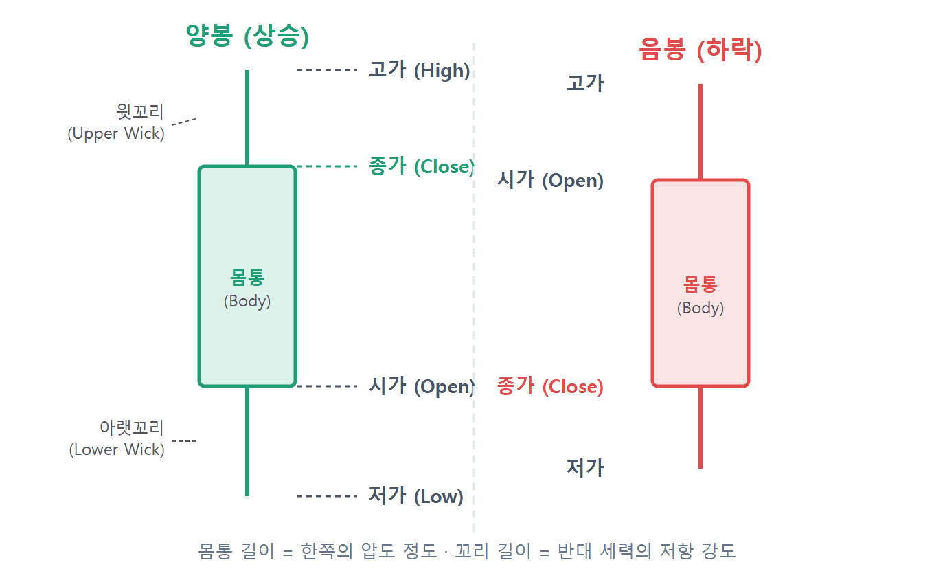 주식 차트 보는 법 캔들차트 구조 양봉과 음봉의 시가 고가 저가 종가 위치와 몸통 꼬리의 의미